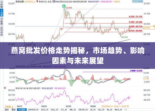 燕窝批发价格走势揭秘，市场趋势、影响因素与未来展望