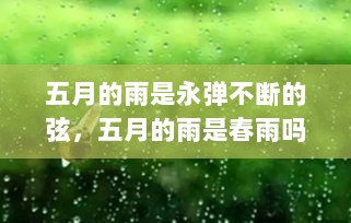 五月的雨是永弹不断的弦，五月的雨是春雨吗 