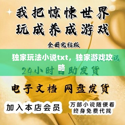 独家玩法小说txt，独家游戏攻略 