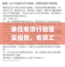 单位专项行动落实报告，专项工作落实情况报告 