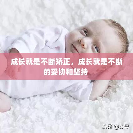 成长就是不断矫正，成长就是不断的妥协和坚持 