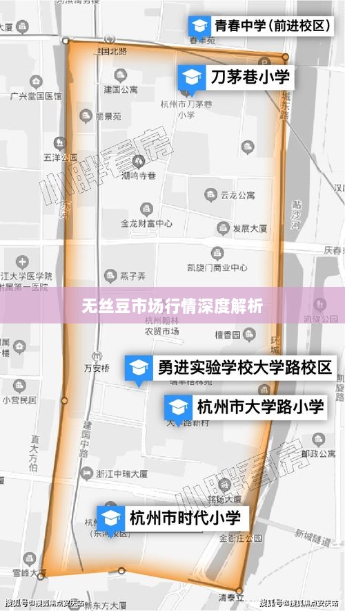 无丝豆市场行情深度解析