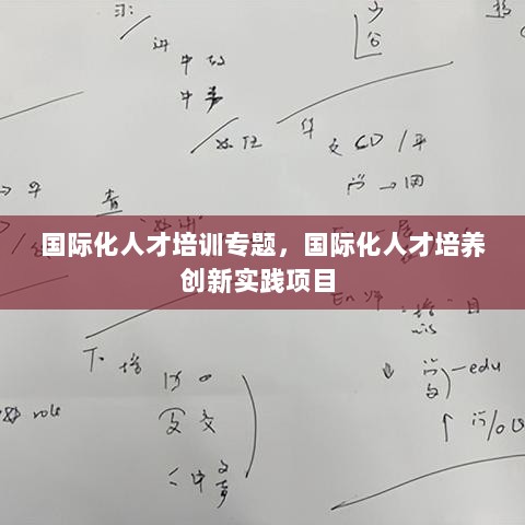 国际化人才培训专题，国际化人才培养创新实践项目 