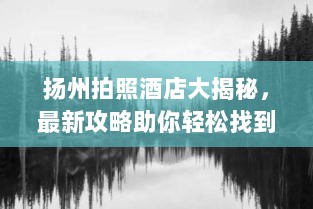 扬州拍照酒店大揭秘，最新攻略助你轻松找到心仪的拍摄胜地